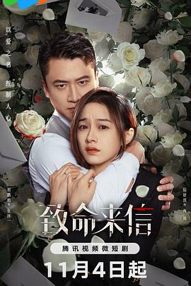 金山区网站优化方案